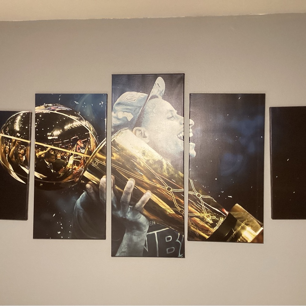 Stephen Curry 5 piece canvas